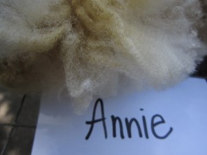 Annie-crimp