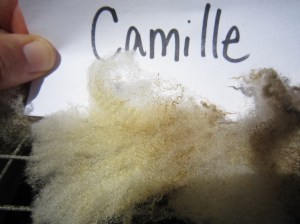 Camille-crimp