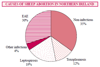 Causes of Abortion in Sheep in N Ireland Causes of Abortion in Sheep in N Ireland