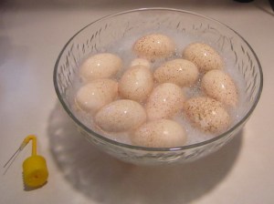 Washing Eggs