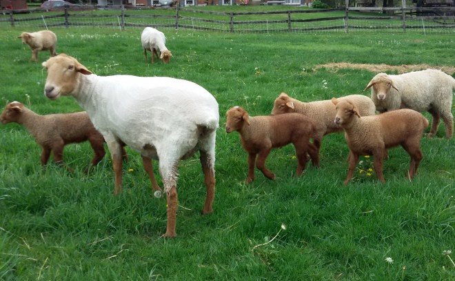 changes in color.jpg