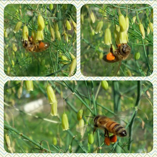 2016-06-07 10.11.21.jpg