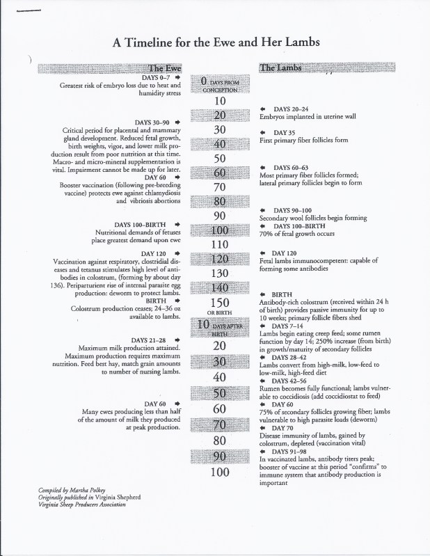 timeline of fetal developement