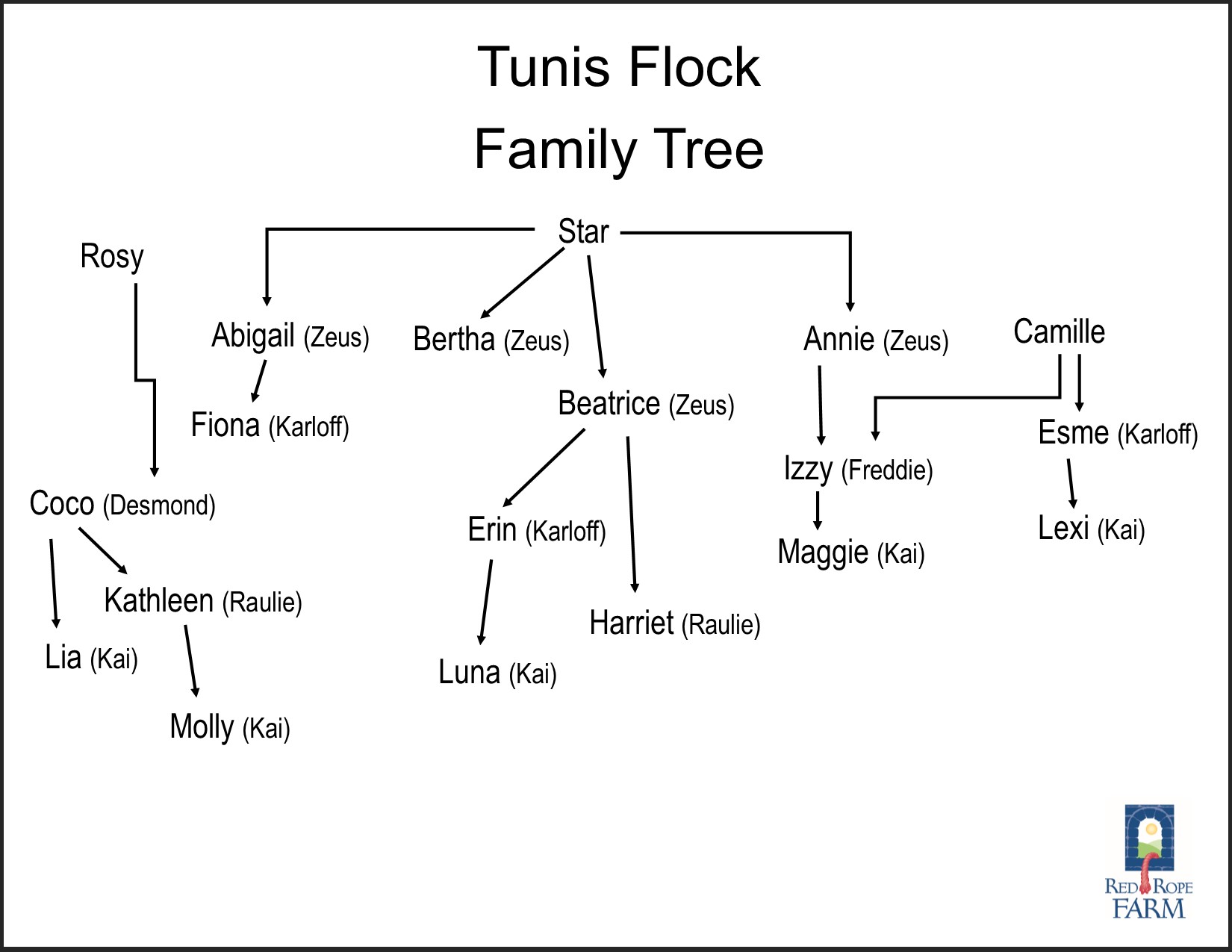 Tunis Flock Family Tree
