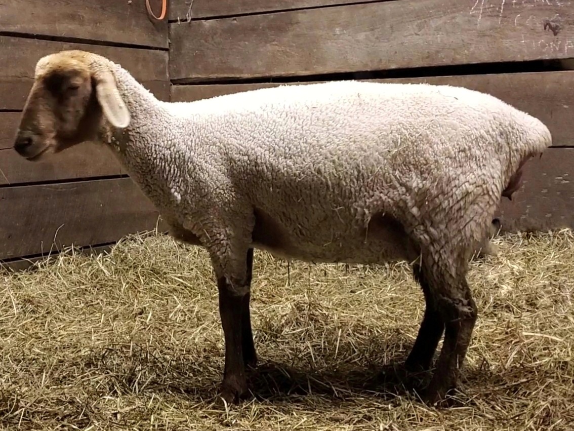 VideoCapture_20210309-112636-01